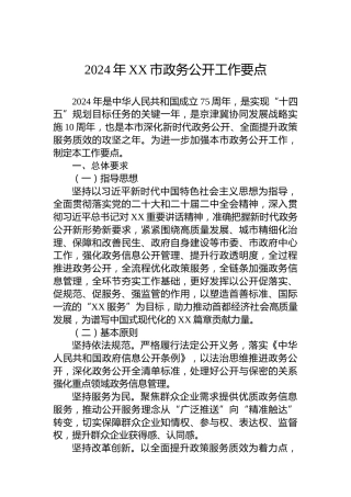 2024年XX市政务公开工作要点