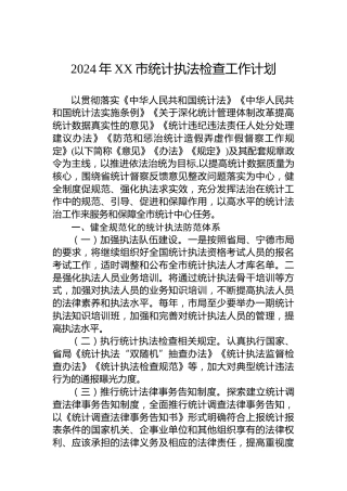 2024年XX市统计执法检查工作计划