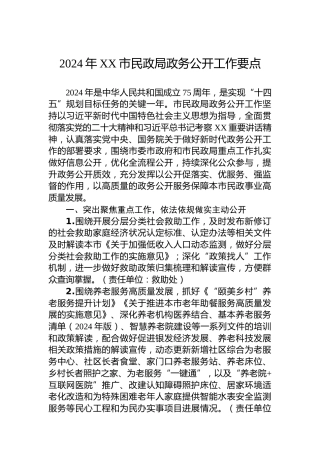2024年XX市民政局政务公开工作要点