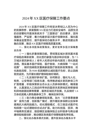 2024年XX区医疗保障工作要点 (2)