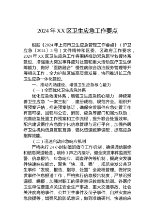 2024年XX区卫生应急工作要点