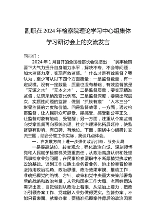 副职在2024年检察院理论学习中心组集体学习研讨会上的交流发言
