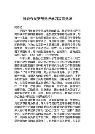 县委办党支部党纪学习教育党课