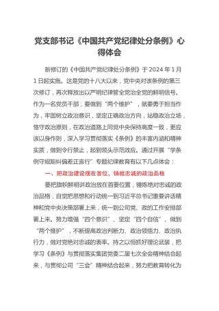 党支部书记《中国共产党纪律处分条例》心得体会