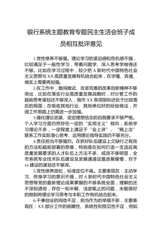 银行系统主题教育专题民主生活会班子成员相互批评意见