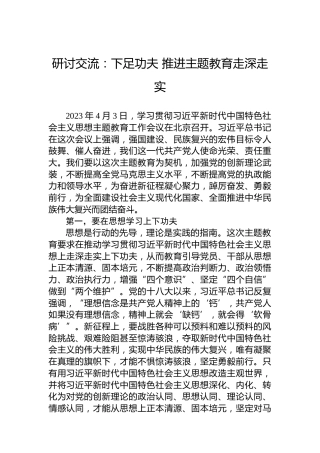 研讨交流：下足功夫推进主题教育走深走实