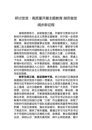 研讨发言：高质量开展主题教育踔厉奋发阔步新征程