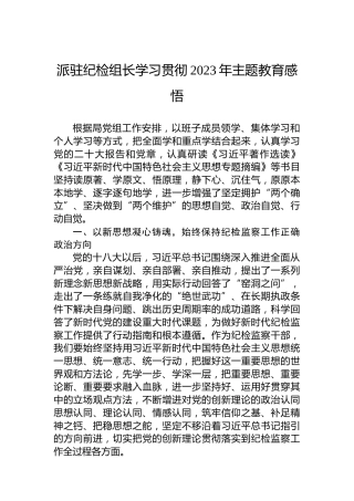 派驻纪检组长学习贯彻2023年主题教育感悟