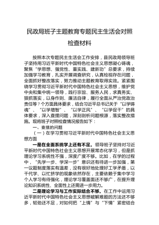 民政局班子主题教育专题民主生活会对照检查材料