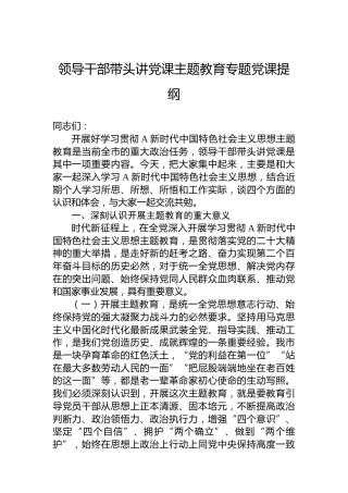 领导干部带头讲党课主题教育专题党课提纲