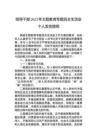 领导干部2023年主题教育专题民主生活会个人发言提纲