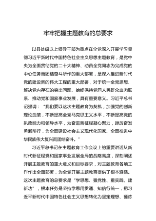 牢牢把握主题教育的总要求