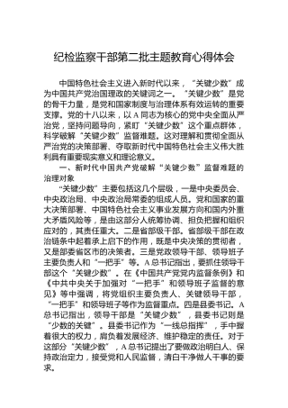 纪检监察干部第二批主题教育心得体会