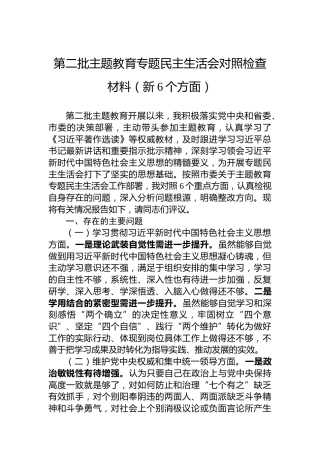 第二批主题教育专题民主生活会对照检查材料（新6个方面） (2)