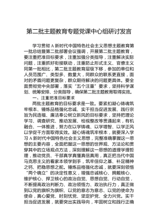 第二批主题教育专题党课中心组研讨发言