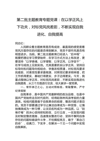 第二批主题教育专题党课：在以学正风上下功夫，对标党风找差距，不断实现自我进化、自我提高