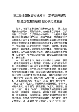 第二批主题教育交流发言：深学笃行新思想踔厉奋发新征程凝心聚力助发展