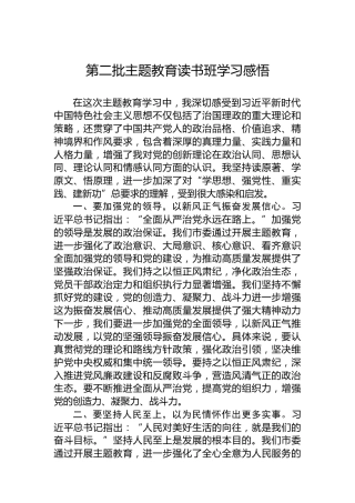 第二批主题教育读书班学习感悟（心得体会）