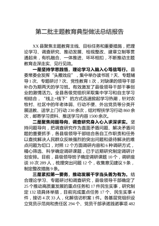 第二批主题教育典型做法总结报告