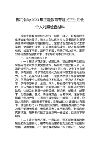 部门领导2023年主题教育专题民主生活会个人对照检查材料