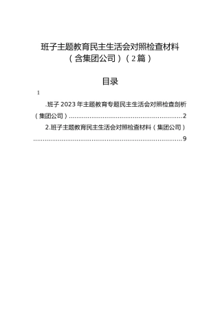 班子主题教育民主生活会对照检查材料（含集团公司）（2篇）