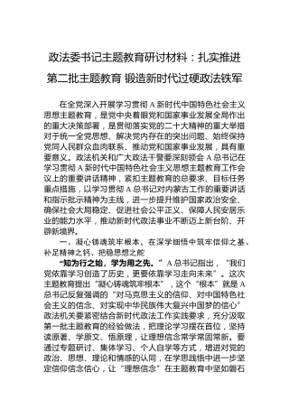 政法委书记主题教育研讨材料：扎实推进第二批主题教育锻造新时代过硬政法铁军