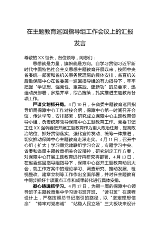 在主题教育巡回指导组工作会议上的汇报发言