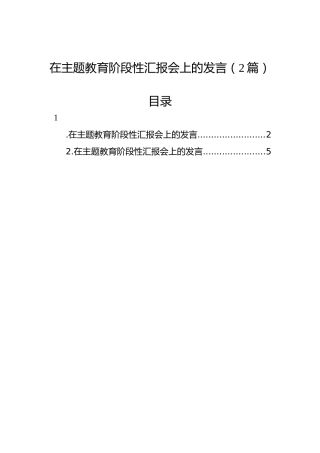 在主题教育阶段性汇报会上的发言（2篇）