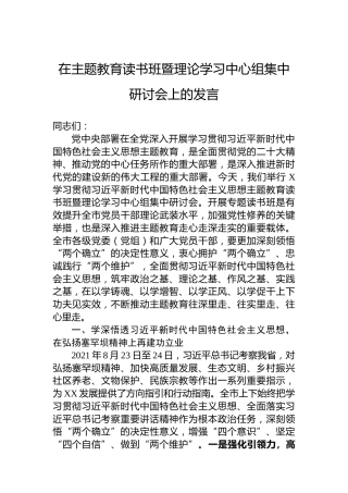 在主题教育读书班暨理论学习中心组集中研讨会上的发言