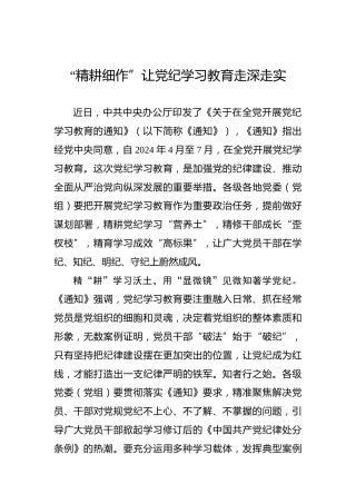 “精耕细作”让党纪学习教育走深走实