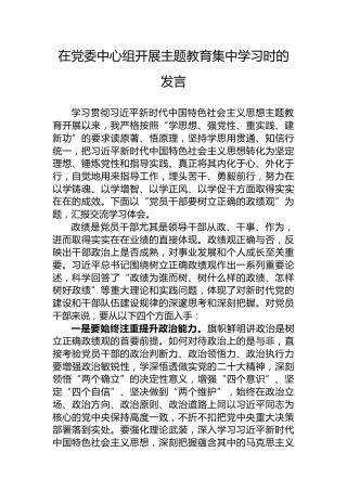 在党委中心组开展主题教育集中学习时的发言