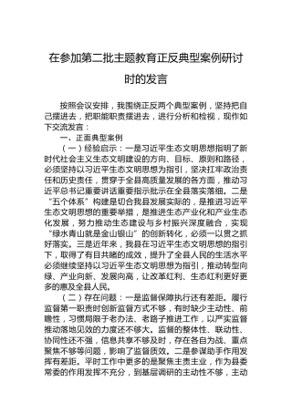 在参加第二批主题教育正反典型案例研讨时的发言