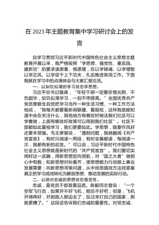在2023年主题教育集中学习研讨会上的发言
