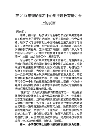 在2023年理论学习中心组主题教育研讨会上的发言