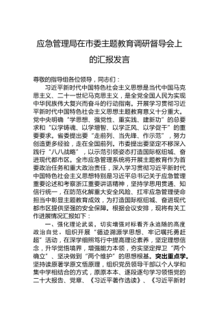 应急管理局在市委主题教育调研督导会上的汇报发言