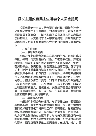 县长主题教育民主生活会个人发言提纲