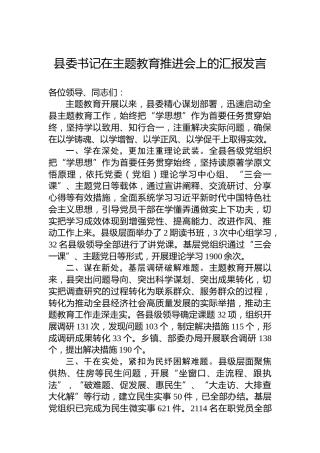县委书记在主题教育推进会上的汇报发言