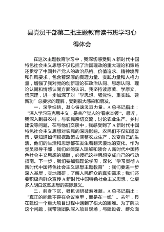 县党员干部第二批主题教育读书班学习心得体会