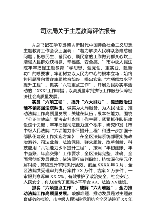 司法局关于主题教育评估报告
