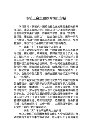 市总工会主题教育阶段总结