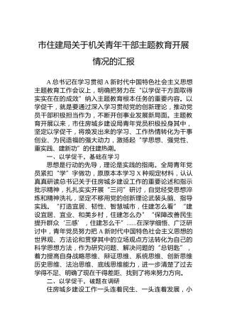 市住建局关于机关青年干部主题教育开展情况的汇报