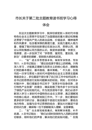 市长关于第二批主题教育读书班学习心得体会