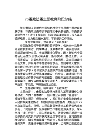 市委政法委主题教育阶段总结