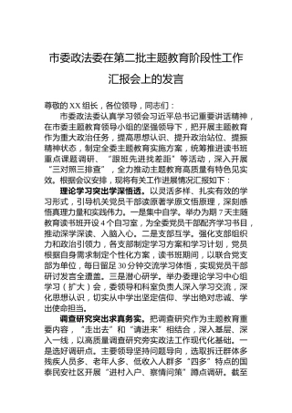 市委政法委在第二批主题教育阶段性工作汇报会上的发言