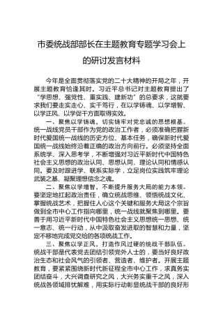 市委统战部部长在主题教育专题学习会上的研讨发言材料