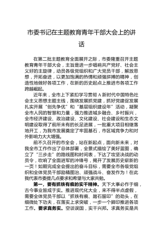 市委书记在主题教育青年干部大会上的讲话