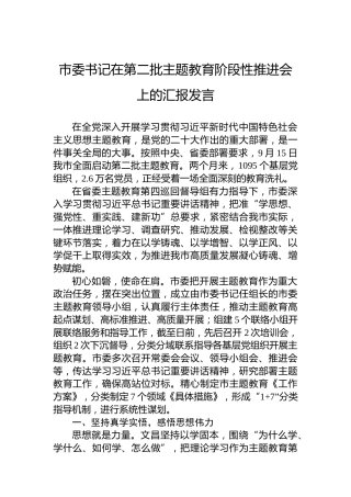 市委书记在第二批主题教育阶段性推进会上的汇报发言