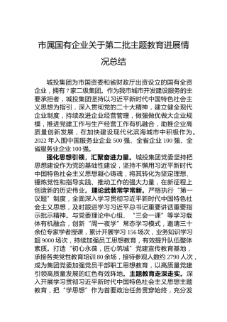 市属国有企业关于第二批主题教育进展情况总结