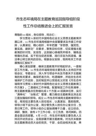 市生态环境局在主题教育巡回指导组阶段性工作总结推进会上的汇报发言