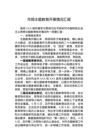 市局主题教育开展情况汇报
